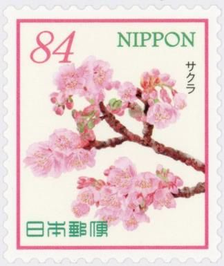 Cherry Blossoms