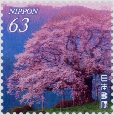 Daigo-Sakura near Maniwa City (Okayama Prefecture)