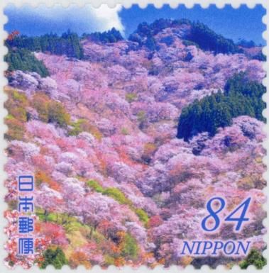 Cherry Trees on Mt. Yoshino (Nara Prefecture)