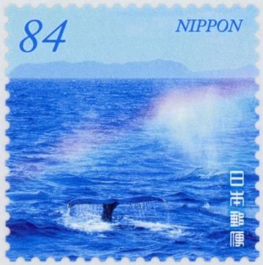 Humpback Whale Blowhole Spray Rainbow (Okinawa Prefecture)