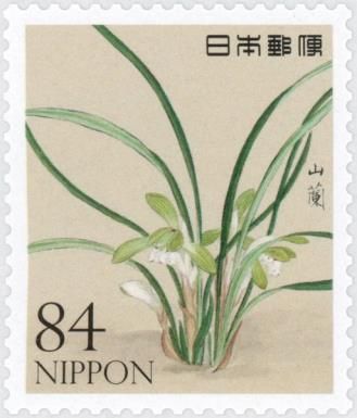 Common Oreorchis (Oreorchis patens)