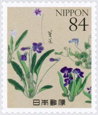 Violets (Viola mandshurica)
