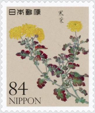 Chrysanthemum "Winter Chrysanthemum"