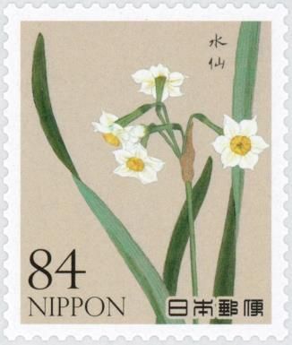 Daffodil (Narcissus tazetta chinensis)