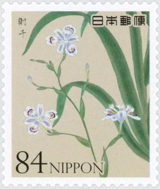 Fringed Iris (Iris japonica)