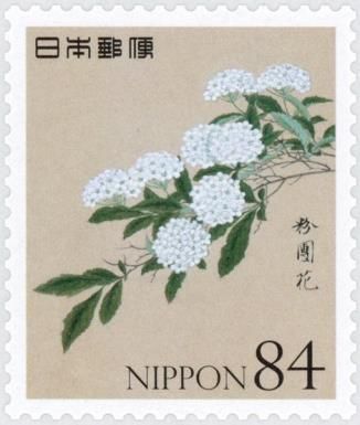 Reeves spirea (Spiraea cantoniensis)