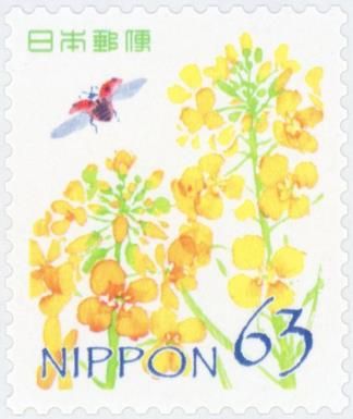 Rapeseed Flowers