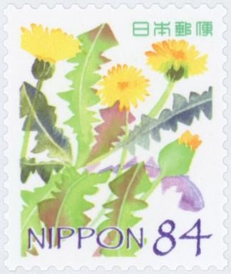 Dandelions