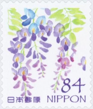 Wisteria