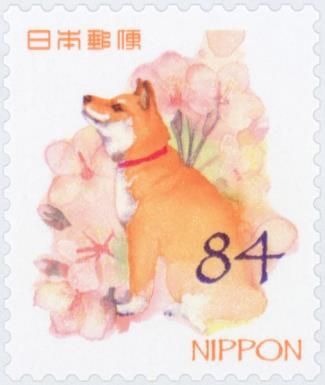 Dog and Cherry Blossoms