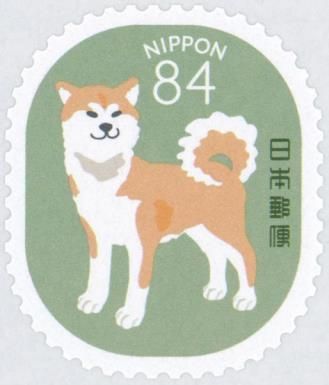 Akita Dog