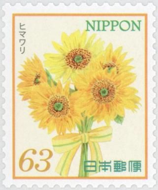 Sunflower (Helianthus annuus)