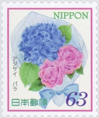 Bigleaf Hydrangea (Hydrangea macrophylla) Rose (Rosa sp.)