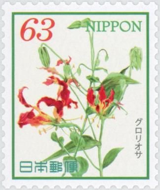 Gloriosa (Gloriosa sp.)