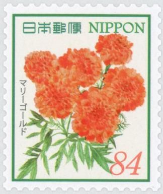 Marigolds (Tagetes sp.)