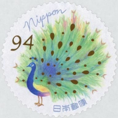 Peacock