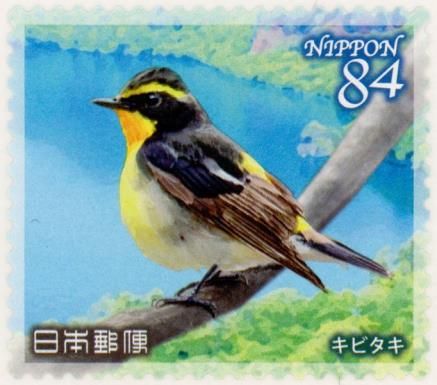 Narcissus Flycatcher (Ficedula narcissina)
