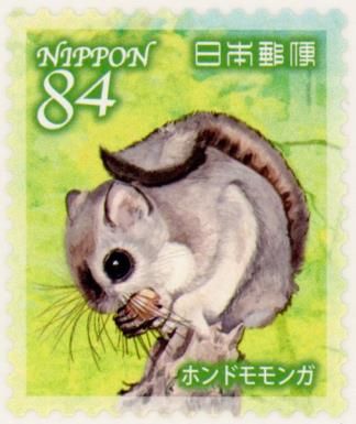 Japanese Dwarf Flying Squirrel (Pteromys momonga)