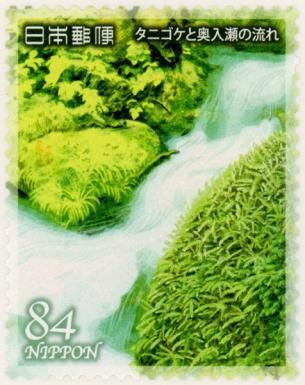 Brachytheciaceae (Moss) and the Oirase Stream
