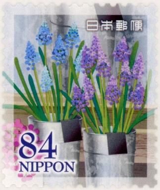 Greetings : Flowers in Daily Life