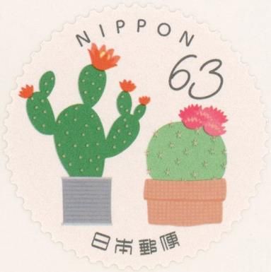 Cacti