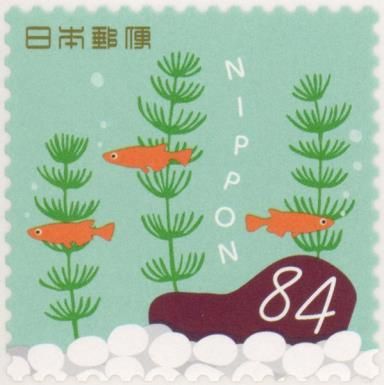 Japanese Rice Fish (Oryzias latipes)