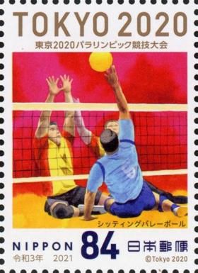 Sitting Volleyball