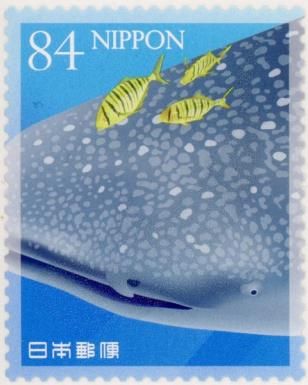 Whale Shark, Golden Trevally (Gnathanodon speciosus)