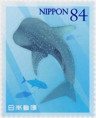 Whale Shark (Rhincodon typus)