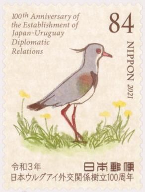 Southern Lapwing (National Bird)