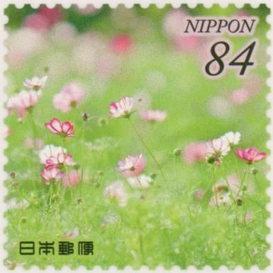Hamarikyu Gardens Cosmos (Tokyo)