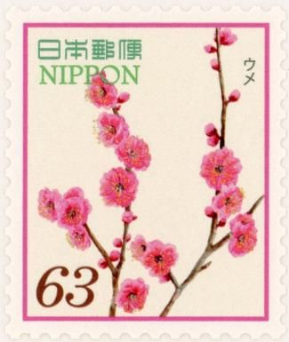 Plum Blossoms (Prunus mume)