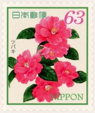 Common Camellia (Camellia japonica)