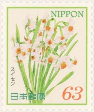 Daffodil (Narcissus tazetta)