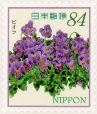 Violet (Viola sp.)