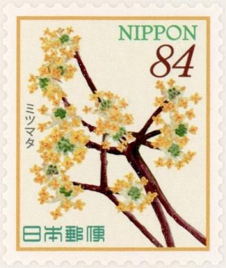 Oriental Paperbush (Edgeworthia chrysantha)