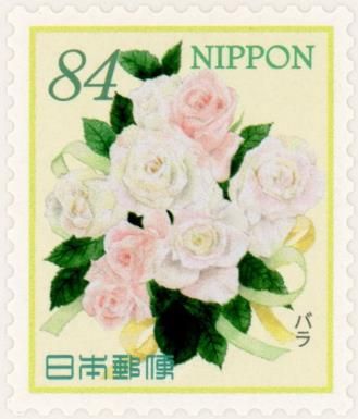 Rose (Rosa sp.)