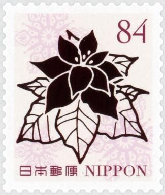 Poinsettia