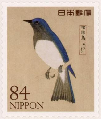 Blue-and-white Flycatcher (Cyanoptila cyanomelana)