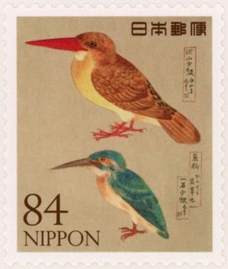 Ruddy Kingfisher & Common Kingfisher