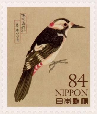Great Spotted Woodpecker (Dendrocopos major)