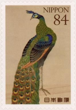 Green Peafowl (Pavo muticus)​