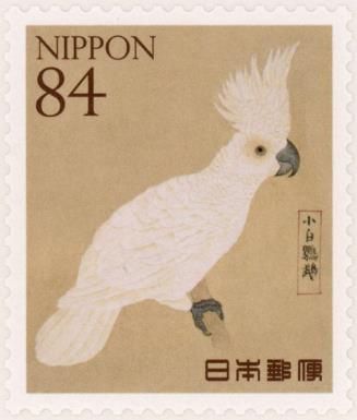 Yellow-crested Cockatoo (Cacatua sulphurea)