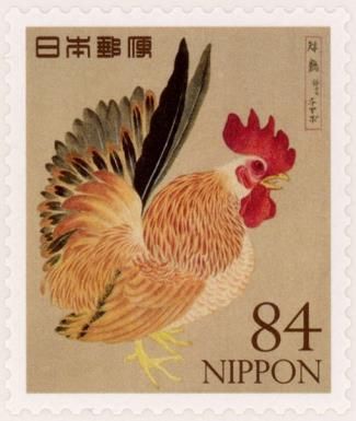 Dwarf Bantam Chicken (Gallus domesticus)