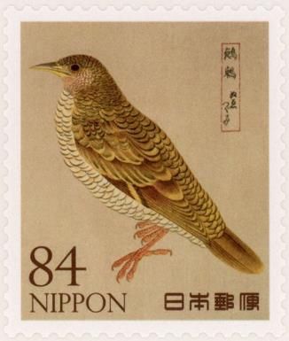 Scaly Thrush (Zoothera dauma)