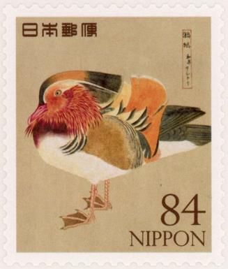 Mandarin Duck (Aix galericulata)