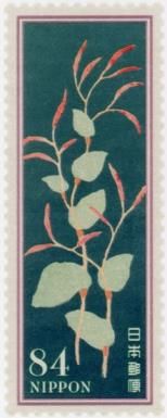 Inutade (Persicaria longiseta)