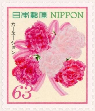 Carnation