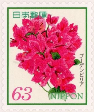 Bougainvillea