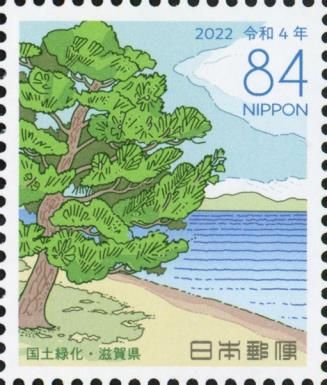 Black pine and Lake Biwa